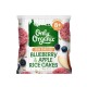【超市采购】Only Organic 8个月以上婴幼儿米饼20g  口味：香蕉苹果米饼  蓝莓米饼